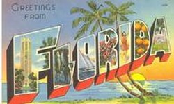 SHIRLEY ALLEN OPENS - CAPTIVA, FLORIDA